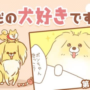 ただの犬好きです。【第319話】「圧の差」