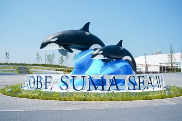 夏限定でお得に！神戸須磨シーワールドに朝・夕限定チケット登場