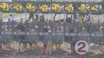 【函館競馬】11R大沼ステークスは5番人気・6番ペリエールが直線力強く抜け出し優勝――佐々木大輔騎手は先週の函館記念に続き、2週連続で函館メインレースを制す――UHB「KEIBAプレミア」