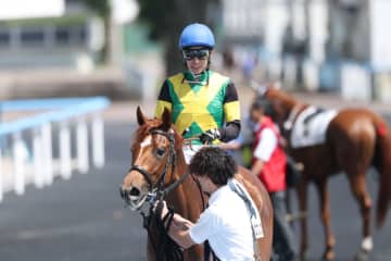 【函館8R】武豊ベビーズブレスが断然の支持に応える