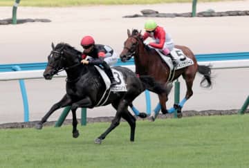 【競馬】小倉1RでJRA史上最低配当が出てしまう。「3連単で220円」のウラ事情