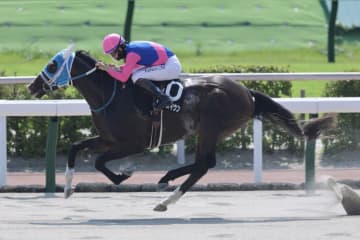 【TAインディア賞】単勝1.2倍メイショウズイウンが人気に応える
