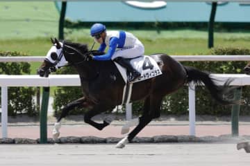 【新馬/小倉6R】ダノンプレミアム産駒 ロードヴィゴラスがデビューV