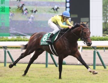 【七夕賞登録馬】シリウスコルトなど15頭