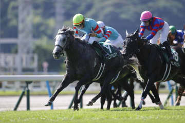 【北九州記念】ヤマニンアルリフラが3連勝で重賞初V…大混戦から抜け出す