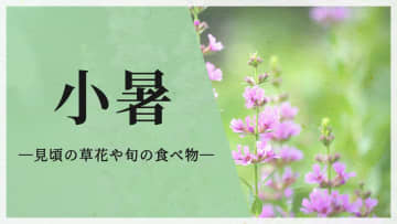 今日は二十四節気の「小暑」　この時期が見頃の草花や旬の食べ物は？