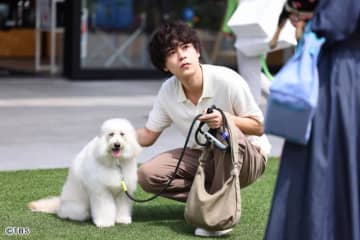 「初恋DOGs」成田凌が語る“こじらせ獣医”白崎快「変わっていく姿を丁寧に描けたら」