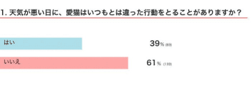 【調査】天気が良い日と悪い日で、猫の行動は違う？　変化が見られたときにしてあげたいケアを獣医師が解説