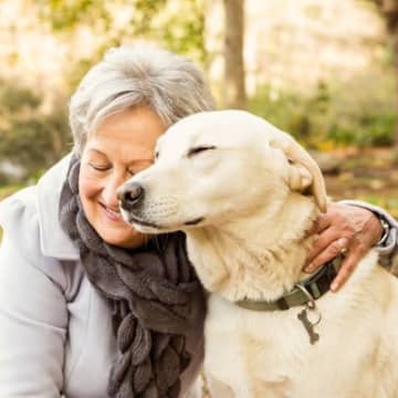 犬が人間にもたらす『いい効果』7つ　愛犬が健康を守ってくれる？飼い主に与えている影響とは