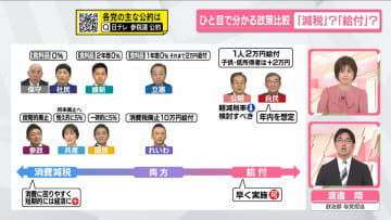 「物価高対策」各党の公約は…減税？給付？【ひと目で分かる政策比較】