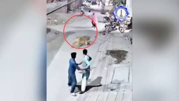 ペットのライオンが壁を飛び越え住民襲う、子どもら３人負傷　パキスタン