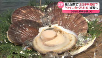 ホタテ“歴史的不漁”水揚げ量が平成以降最低に　価格上昇…ふるさと納税の返礼品も値上げ
