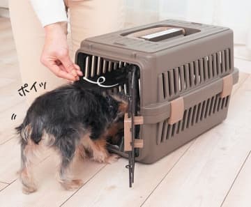 犬が「自らクレートに入るようになる方法」クレートに慣れさせるステップは？