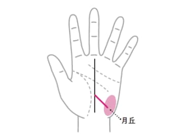 突然の出会いから電撃結婚をする可能性がある『影響線』とは！？【手相の教科書】