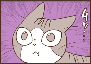 【吉川さん家の猫事情】#100話 しょっちゅう来ては…