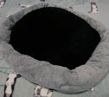 クッションに空いた真っ黒な穴！「猫はどこ？」1才当時の保護猫の寝姿にクスッ