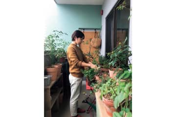 温度が50度にまで上がるベランダでも15種類のバラを咲かせた、そのコツは？道具のしまい方も