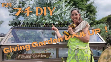 森泉、自宅のミニ温室をDIY　特注の飾りを取り付け「100倍かわいくなった！」と大満足