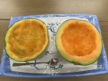 【性格診断】あなたはどっち？メロンの“食べ方”だけで「育ちがわかる」衝撃の比較写真に「これは言い逃れできない」とSNS騒然