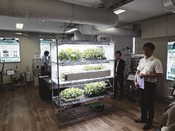 横国大、鹿島ら／世界初の植物バイオものづくり研究開発拠点を開設