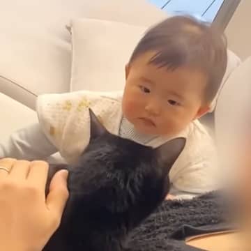 普段は仲良しな赤ちゃんと猫→パパの前では…抱っこをめぐる『仁義なきバトル』に「ほんと見てて飽きない」「パパのポジションになりたい」