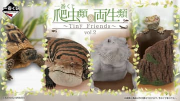 一番くじ　両生類&爬虫類　vol2 アオジタトカゲA賞　ラストワン賞 別売り可 リアルで可愛い「一番くじ 爬虫類＆両生類」第2弾の全