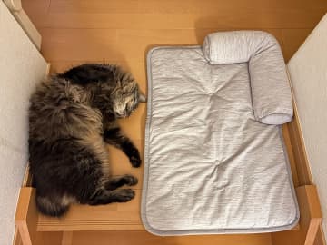 「夏なので、ひんやりマットを新調しました」　公開された１枚に「笑った」