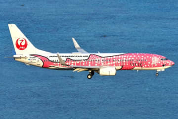「日本トランスオーシャン航空」2027年度入社向け、オープンカンパニーを開催