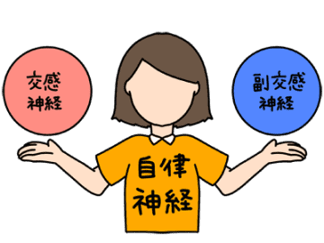 交感神経が暴走！体温調節の司令塔が引き起こす“冷えスパイラル”とは【眠れなくなるほど面白い 図解 冷えと乾燥の話】