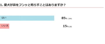 「鼻をフンッと鳴らす」犬を調査！なぜ鼻を鳴らすのか獣医師が解説