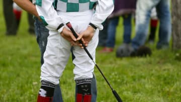 初心者必見！乗馬の「追い鞭」は必要？