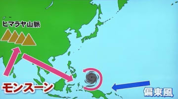 今年の台風は“すぐに接近”し被害が長引く恐れ　日本付近で発生し動きが遅い傾向に