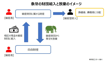 管財業務のツボ　“象牙” はどう取り扱う？　～ カイロス総合法律事務所・岡山大輔弁護士に聞く ～