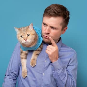 猫にも伝わる『褒め方・叱り方』それぞれのポイント2つ　間違ったやり方は関係悪化の原因に…
