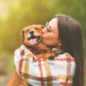 犬が『最高の飼い主』と感じる人の特徴とは？愛犬から慕われる理由や良好な関係を保つ秘訣まで