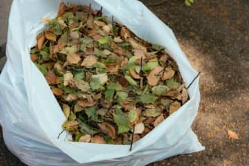 草木を捨てる時は“アレ”をすると「清掃員がすごく助かります！」ゴミ清掃芸人が捨て方を投稿