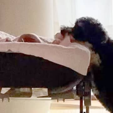 『ちゃんと寝てるかな？』１人で眠っている赤ちゃん→近くにいた犬が…もはやベビーシッターな行動が104万再生「確認可愛すぎ」「頼もしい」