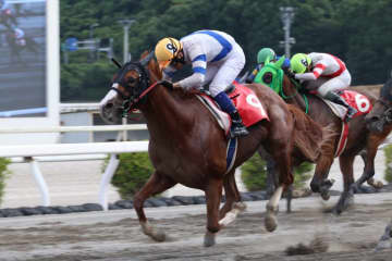 【高知・魚梁瀬杉特別】ザセンチュリーが高知転入後連勝！赤岡修次騎乗で初の準重賞制覇
