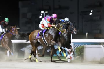 【スパーキングレディーC】松山「負けられないレースでした」テンカジョウは3着まで