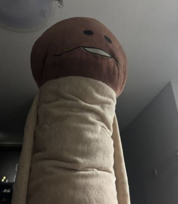 【深夜、閲覧注意】「目が怖すぎる」ただのぬいぐるみが、“下から見上げる”だけで“最恐ホラー”に変わる瞬間