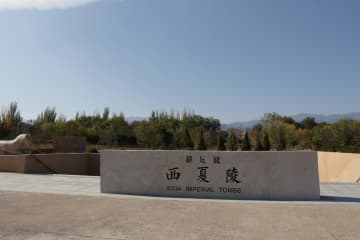 中国西夏王朝の陵墓群、世界遺産に登録決定