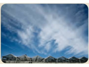 空に描かれたクロス模様！二重雲とは？【最新の国際基準で見わける 雲の図鑑】