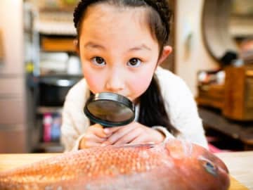 魚を好きになるきっかけは「構造」？子どもがハマる意外なツボがあったんです！