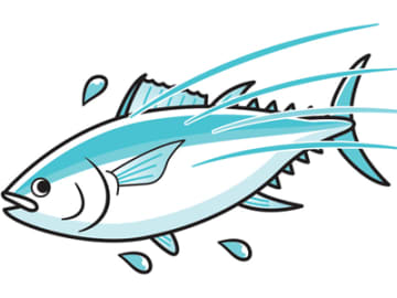 実はサケは白身魚！ピンク身になるメカニズムとは！？【眠れなくなるほど面白い 図解 魚の話】