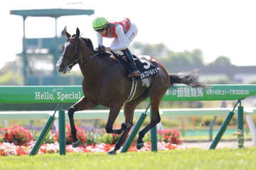 【HTB杯】横山武＆カルプスペルシュが人気に応える…本日の3勝目