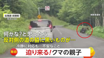 【独自】迫り来るクマの親子チラリと見つつ1mの距離を通過　環境省「むやみに停車せず車から降りない」　北海道