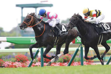 【巴賞】ディープ産駒 ケイアイセナがオープン初勝利