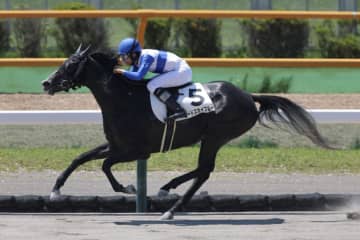 【函館4R】ウインブライト産駒 ロードスカイブルーが7馬身差圧勝