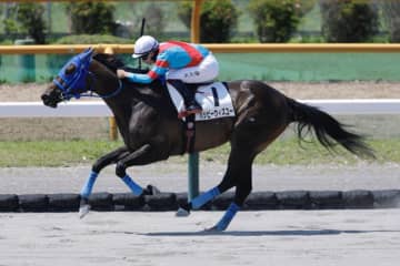 【函館2R】横山武史騎乗 ハッピーウィズユー快勝