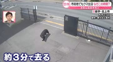 家の中で襲われ死者も…クマの出没、市街地で相次ぐ　6～7月は“危険”ナゼ　迅速な駆除へ「緊急銃猟」も【#みんなのギモン】